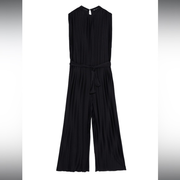 Zara Accordion Pleated Jumpsuit - Picture 3 of 3